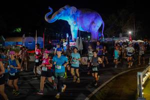 BIB: 
                            <button type="button" onclick="openModal(26552313)" class="btn btn-primary btn-sm float-right btn-popup" data-toggle="modal" data-target=".modal-high-quality">
                        <i class="fas fa-shopping-cart"></i> Add to Cart
                    </button>
                                            <button type="button" onclick="isThisMe(26552313, true)" class="btn btn-success btn-sm float-right btn-popup btn-isme hidden" data-toggle="tooltip" data-placement="bottom" title="นี่คือรูปของคุณใช่ไหม คลิกที่นี่เพื่อเอาเข้าอัลบั้ม">
                        <i class="fas fa-plus"></i> Add to album
                    </button>
                    <button type="button" onclick="isThisMe(26552313, false)" class="btn btn-warning btn-sm float-right btn-popup btn-isnotme hidden">
                        <i class="fas fa-ban"></i> Remove from album
                    </button>